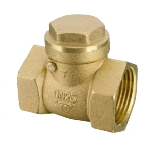 Heavy Duty Forged All Brass Horizontal Check Valve PTFE Sealing High Temperature Rated Female Internal Thread Non Return Valve