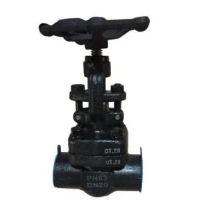 Heavy Duty Forged Carbon Steel Globe Valve, Socket Weld End, Manual Control, for Power Plant and Refinery Pipeline Isolation