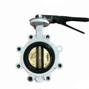 Heavy Duty Lug Type Butterfly Valve PN16 Industrial Water Gas Control Valve