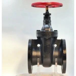 Heavy Duty Manual Non Rising Stem Ductile Iron Gate Valve for Water Mining Underground Sewage 2in-8in Port Size Medium