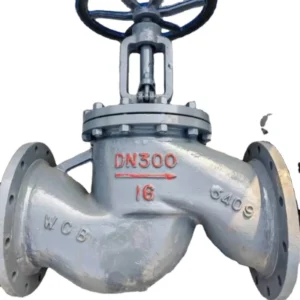 Heavy Pattern Y-Type Globe Valve with Socket Weld Ends for High Pressure Hydraulic Oil Manifolds in Offshore Drilling