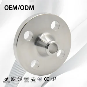 High Precision Custom Stainless Steel Durable and OEM Manufacturing Water Treatment Plant Neck Welding Flanges