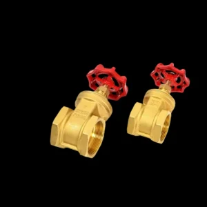 High Pressure Brass Threaded Connection Gate Valve with Custom Port Size and ODM Customized Support