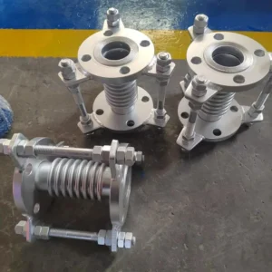 High Pressure Stainless Steel Metal Rubber Expansion Joint Flange Flexible Hose Duckbill Valves PTFE Threaded Pipeline Fittings