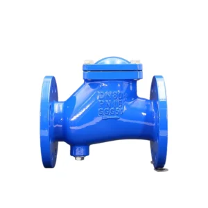 High Quality 2/3/4/5/6/8 Inch Ductile Iron Ball Type Manual Safety High Temperature Water Check Valve