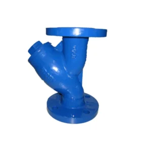 High Quality Chinese Factory DN300 PN16 Ductile Iron Flange Y Type Strainer
