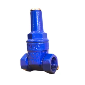 High Quality Ductile Cast Iron Gate Valve Manual Soft Seal Threaded Lock DN50 PN16 ISO9001 Certified for Water Media