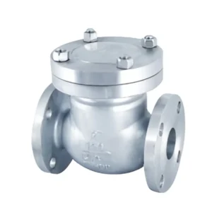 High Quality Standard Stainless Steel Lift Flange API Duckbill Flip Flow 2inch Check Valve