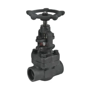 High Temperature API ANSI 150 800LB 304 316 Stainless Steel A105 1.6 10mpa Manual Forged Socket Welded Globe Valve