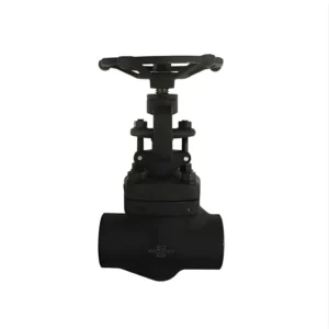 High Temperature Globe Valve J61H Forged Steel Sleeve Welding Socket Thread NpT Can Be Customized
