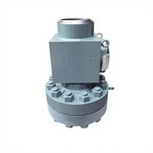 High Temperature High Pressure Manual Water Power Station Check Valve