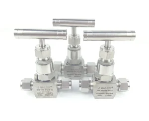 High Temperature Stainless Steel Through Board Internal Thread Needle Type Globe Valve for Water Media
