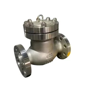High precision Filtration Stainless Steel Flange Swing type Check Valve Factory Direct Sale