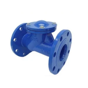 High quality Ductile Iron/Stainless Steel Globe Control Valve Female Thread Check Valve Gate Swing Stop Back Valve