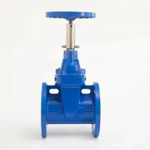 High quality Water Casting Iron Non Rising Stem Hard Seal Gate Valve with Price