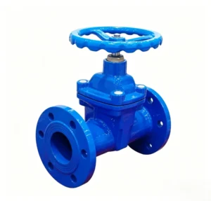 Hydraulic Flanged Gate Valve 3 in Port Size Water Media Normal Temperature