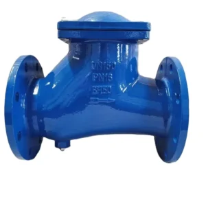 Hydraulic Sewage 6 Inch Vertical Horizontal Install Customized Prevent Medium Backflow DIN PN16 Flange Ball Type Check Valve