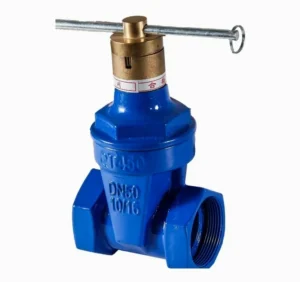 Hydraulic Soft Seal Electric Gate Valve for Water Manual Option with Wire Lock and Angle Control Check General Application