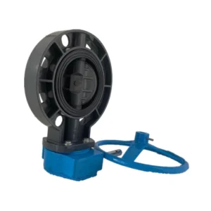 ISO CO 2 Inch to 16 Inch Sea Water Use EPDM Seat SS Stem Worm Gear U-pvc Flange Wafer Butterfly Valve