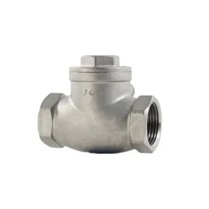 Industrial 304 316 Stainless Steel Check Valve DN 8~DN 100 Female Threaded Swing Check Valve