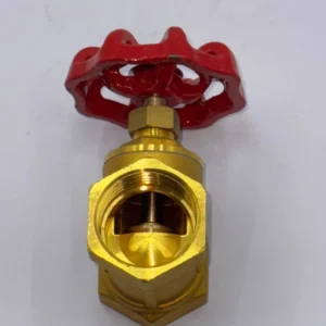 Industrial Brass Globe Valve Manual Water Application 1 NPT Connection 1 Year Warranty OEM Available High Pressure Low