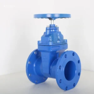 Industrial Cast Iron Gate Valves Manual Water 2 Inch 4 Inch 6 Inch Resilient Wedge Soft Sealed Non Rising Stem