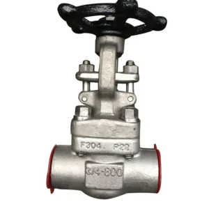 Industrial Manual Stainless Steel Globe Valve 1/2