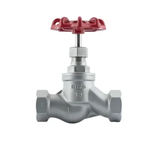 Industrial Manual Stainless Steel High Temperature Stop Globe Valve with BSP Threaded PN16 PN40 for Flow Control System
