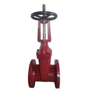Industrial Standard 6 Inch Cast Iron Elastic Seat Rising Stem Gate Valve for Water Pipeline System