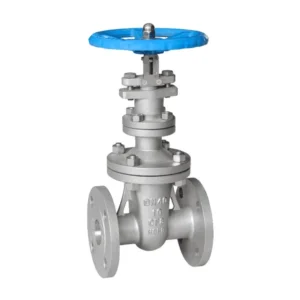 Industrial Use Stainless Steel Manual Flanged Wedged Gate Valve High-Temperature Water Compatible