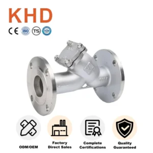 Industrial Y Type Strainer CF8 CF8M Stainless Steel Cast Iron Strainer Custom Size for Heavy Duty Use