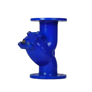 Industrial Y Type Strainer Ductile Cast Iron Water Meter SS316 Flange End Diaphragm Gate Valves Polished Surface Low Temperature