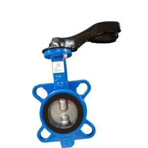 Interlocking Worm Gear Transmission Soft Sealing Butterfly Valve 3inch Port Size Hydraulic for Water Control Turbine Flange
