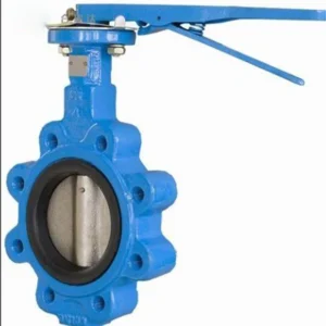 Interlocking Worm Gear Transmission Soft Sealing Butterfly Valve 3inch Port Size Hydraulic for Water Control Turbine Flange