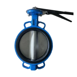 Interlocking Worm Gear Transmission Soft Sealing Butterfly Valve for Water Control Turbine Flange Design