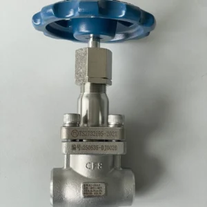 International Standard Steel Stainless 304 316 Gas Pressure Air Flow Adjustable Cryogenic Globe Valve for Mini Tank
