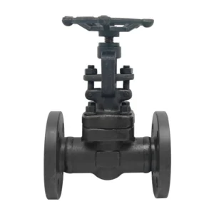 J41H 16C A105 Forged Steel Flange Globe Valve High Temperature Steam Heat Conduction Oil Pipeline Powerless Stop Valve DN25