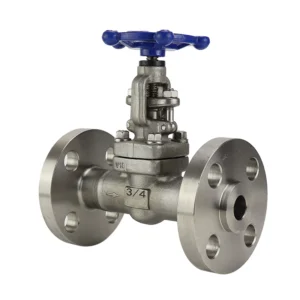 J41W 600LB Stainless Steel Forged Globe Valve