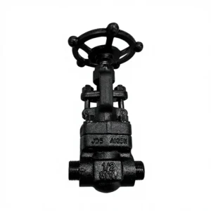 J61H-800LBC Forged Steel Socket Welding Globe Valve American Standard A105N Carbon Steel Bonnet Steam Heat Transfer Oil