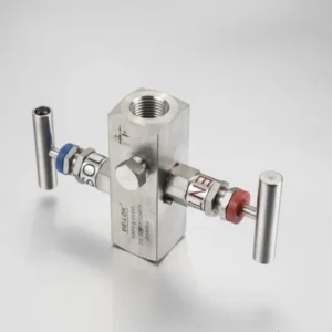 JAZZY Instrument Manifolds Instrument Valve Needle Valve Stainless Steel Ball Check Globe Valve