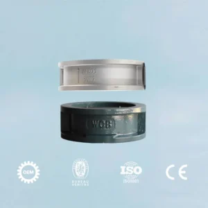 JIS 10k Dn250 CI Non-Return Wafer Type High Pressure Check Valve 4-80 for Normal Temperature WCB/Stainless Steel Air & Water