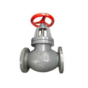 JIS F7353 Cast Iron 5k Screw-down Check Globe Valves Marine Daily Water Normal Temperature Manual Stop Valve