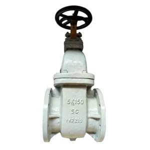 JIS F7366 Gate Valves Cast Iron 10K Marine Valve Factory Direct Sale