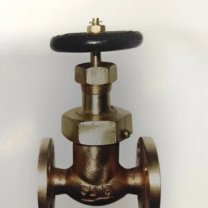 JIS F7413 Bronze 16K Screw Down Globe Valve Union Bonnet SDNR Marine Valve China Factory Outlet Manufacture