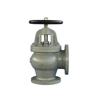 JIS Marine Cast Iron Globe Valve Flanged 5K/10K/16K (F7306/F7308)