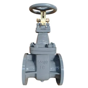 JIS7307 JIS7305 Globe Valve JIS7363 JIS7364 Gate Valve Ship Building Marine Valve