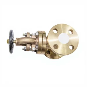 KH C95800 Manual Globe Valve B62 Cut off Flanged Connection Chemical Application 1 Year Warranty ODM OEM Customizable