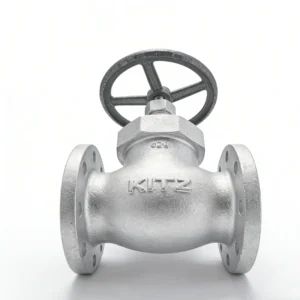 KITZ Customized Manual Globe Valve Forged 10SPDBF Carbon Steel with Brass Disc and Bronze Bonnet and Gear