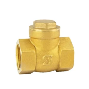 LS710 Brass Swing Check Valve 1 Inch 1.6MPa Pressure ISO228 Thread Dimension Water Media PTFE Sealing