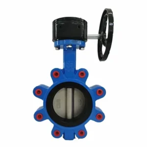 LTD371XP-16Q Stainless Steel Disc Butterfly Valve Manual Ductile Iron LT Type Lug for Water Pipe